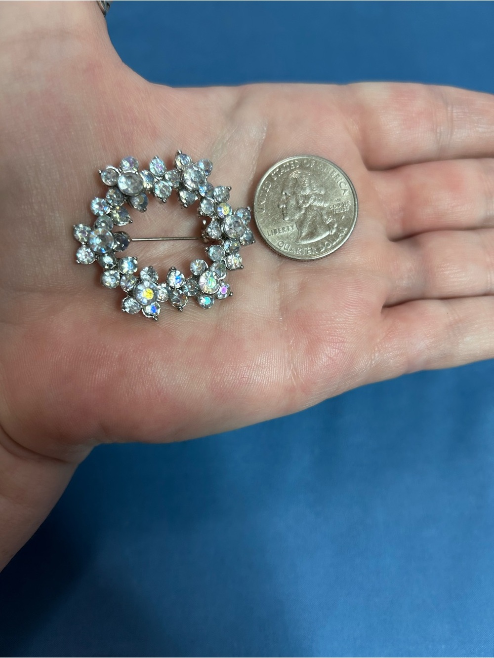 Clear Crystal Floral Wreath Brooch - Sparkling Silver-Tone Accent